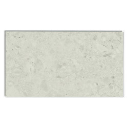 Dalle en PVC Ceppino beige 65 x 37,5 cm 8 pièces DUMAWALL