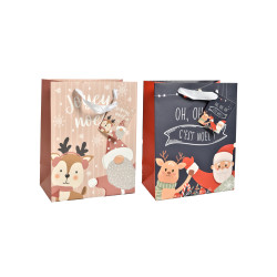 Sac cadeau de Noël en papier  10 x 18 x 23 cm