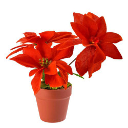 Étoile de Noël en pot 20 cm