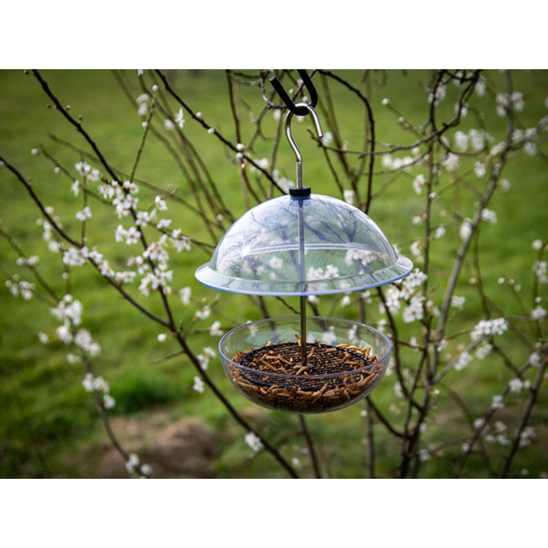 Mangeoire dôme transparente EMMA'S GARDEN – Nourrir les oiseaux