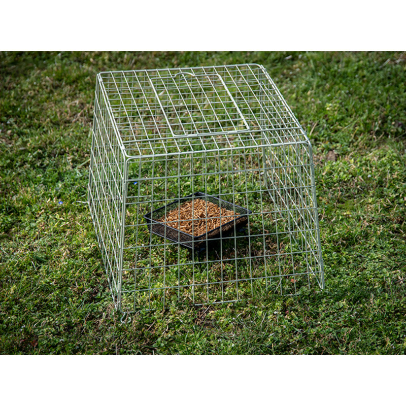 Cage de protection pour mangeoire – Protège vos graines | EMMA's GARDEN