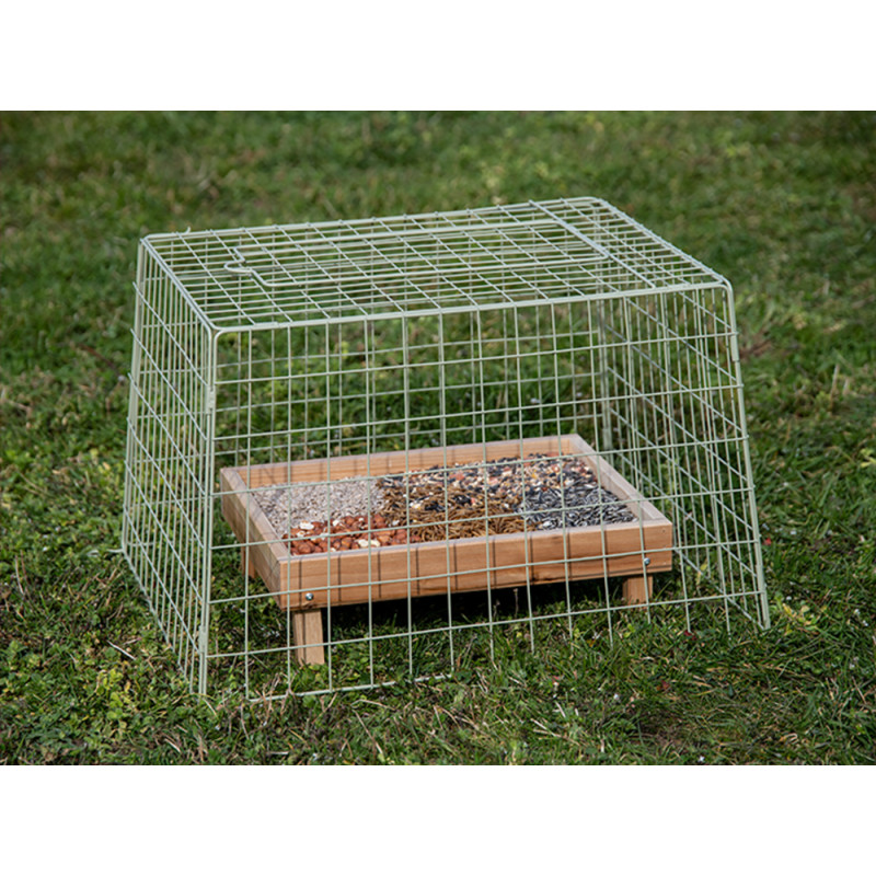Cage de protection pour mangeoire – Protège vos graines | EMMA's GARDEN