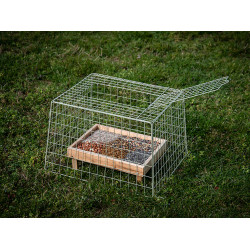 Cage de protection pour mangeoire – Protège vos graines | EMMA's GARDEN