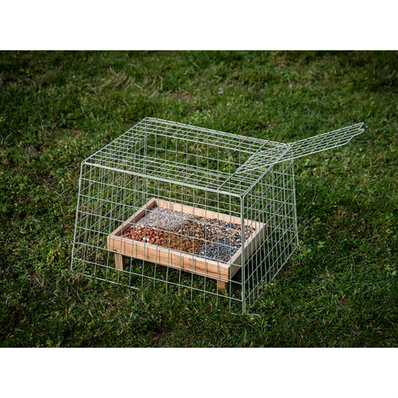 Cage de protection pour mangeoire – Protège vos graines | EMMA's GARDEN