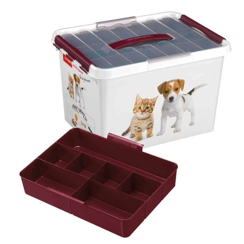 Q-Line Box Décor Animaux + Insert