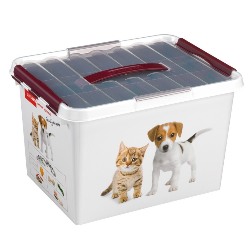 Q-Line Box Décor Animaux + Insert