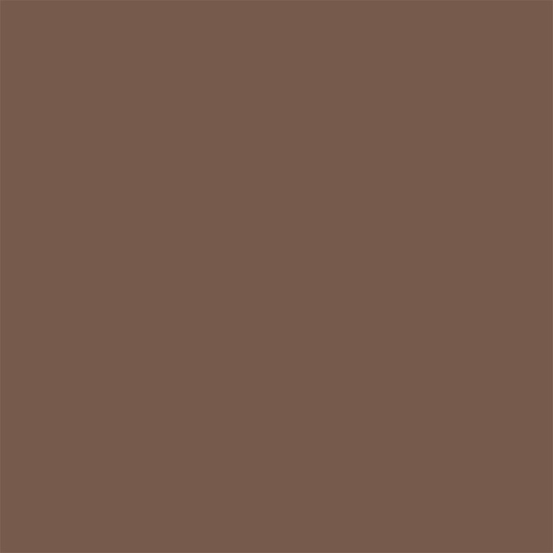 Testeur peinture Colorissim Poudre de Cacao Mat – Idéal murs | V33