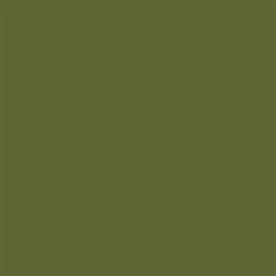 Peinture Colorissim Vert Matcha Mat 0.5L – Aspect Velouté | V33