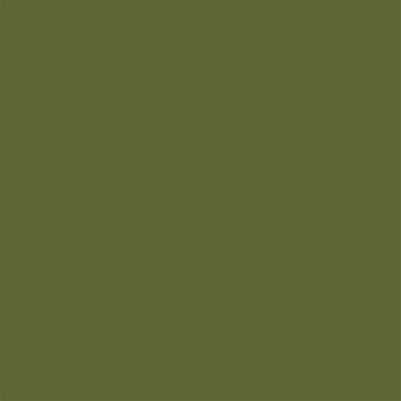 Peinture Colorissim Vert Matcha Mat 0.5L – Aspect Velouté | V33