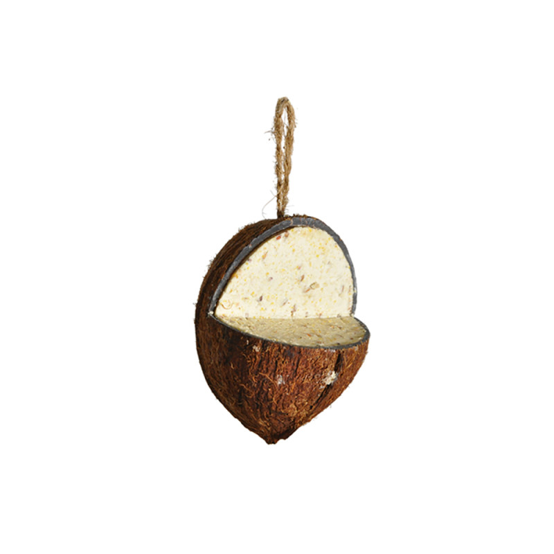 Noix de coco 3/4 350 g