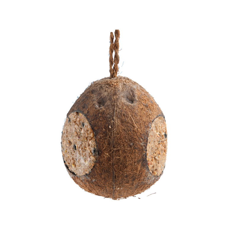 Noix de coco 350 g