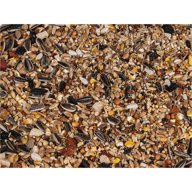 Mélange De Graines Premium Pour Oiseaux Exotiques 900g - Panique, Millet Jaune/blanc/rouge, Scagliola, Niger - Pour Canaris, Perruches
