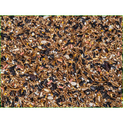 Mélange de graines pour oiseaux aux fruits et aux insectes 1,1 kg
