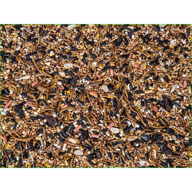 Mélange de graines pour oiseaux aux fruits et aux insectes 1,1 kg
