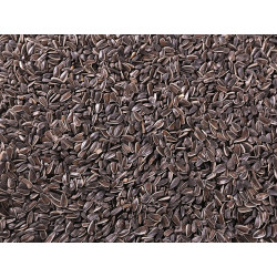 Mélange de graines de tournesol 12 kg