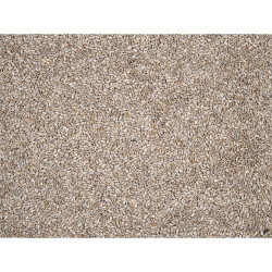 Coeurs de tournesol 1 kg