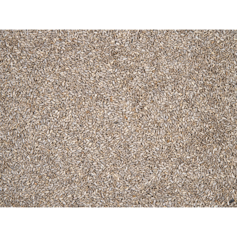 Coeurs de tournesol 3,25 kg