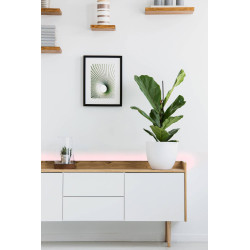 Ruban LED Stripe-c 3 m 16 W EGLO Ruban LED Stripe-c 3 m 16 W EGLO