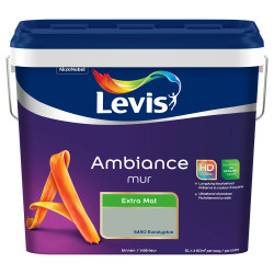 Peinture Murs Ambiance Eucalyptus Mat 5L LEVIS – Élégance