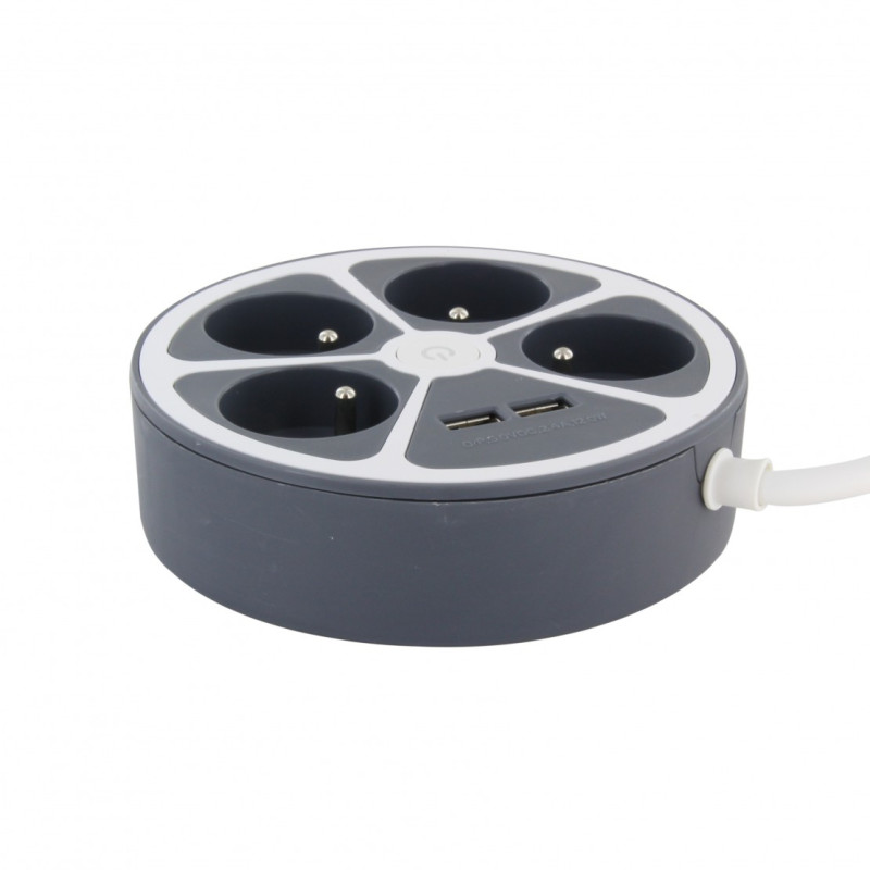 Multiprise Power Circle 4 prises 2 USB gris 1,5 m CHACON