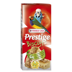 Biscuit aux graines santé oiseau – 6 pièces gourmandes

