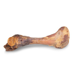 Os de jambon italien 24 cm – Snack sain pour chien | NOBBY Os de jambon italien 24 cm – Snack sain pour chien | NOBBY
