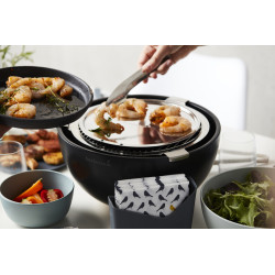 Barbecue Joya BARBECOOK – Grillades parfaites