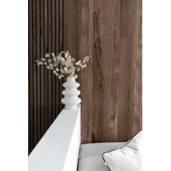 Lambris revêtu Latt Black Castel 30 x 277 x 2 cm 2 pièces MAESTRO Lambris revêtu Latt Black Castel 30 x 277 x 2 cm 2 pièces MAESTRO