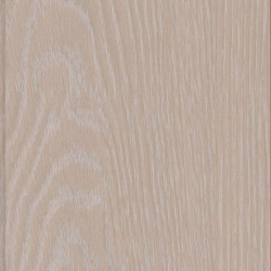 Lambris Chêne pêche vif – Élégance pour plafond | MAESTRO Lambris Chêne pêche vif – Élégance pour plafond | MAESTRO