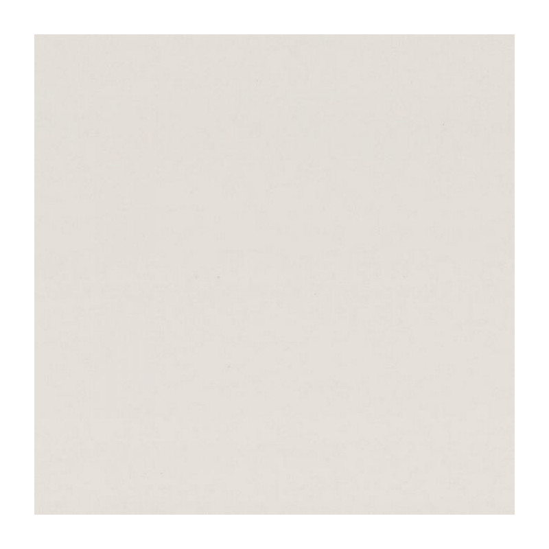 Lambris Noble Argile Blanche – Élégance du plafond | MAESTRO Lambris Noble Argile Blanche – Élégance du plafond | MAESTRO