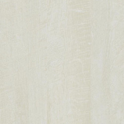 Lambris mural Calm Light Oak – Ambiance naturelle | MAESTRO