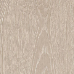 Lambris Chêne Ambre Éclectique MAESTRO – Habillage mural | MAESTRO