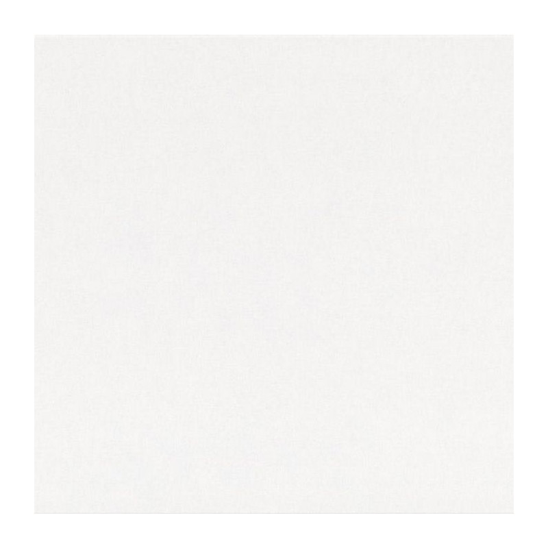 Lambris Noble Blanc Cristal – Élégance Murale | MAESTRO Lambris Noble Blanc Cristal – Élégance Murale | MAESTRO