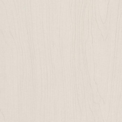 Lambris hydrofuge Bouleau blanc noble – Plafond élégant | MAESTRO Lambris hydrofuge Bouleau blanc noble – Plafond élégant | MAESTRO