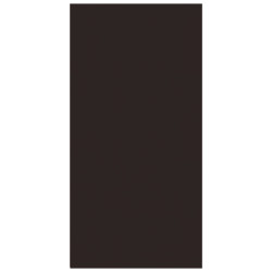 Panneau coffrage hydrofuge 250x125x1.8cm – Résistant à l'eau