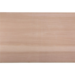 Panneau multiplex 244x122x0,9cm – Qualité Pro Panneau multiplex 244x122x0,9cm – Qualité Pro