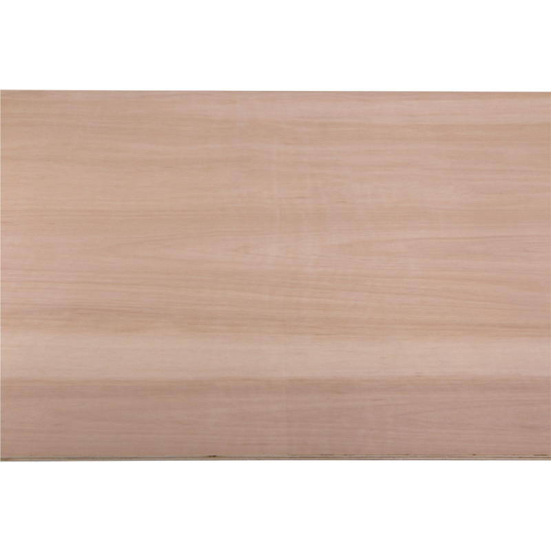 Panneau multiplex 244x122x0,9cm – Qualité Pro Panneau multiplex 244x122x0,9cm – Qualité Pro