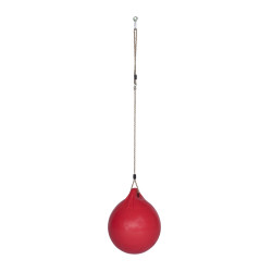 Balançoire ballon