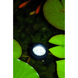 Éclairage LED Bassin MultiBright 1,25W – Illuminez votre jardin | UBBINK