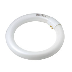 Tube fluorescent Circline T8 22W OSRAM – lumière neutre