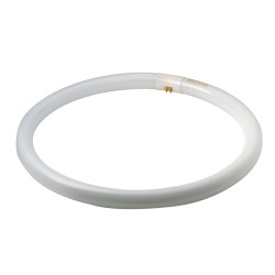 Tube fluorescent Circline T8 40 W – lumière neutre | OSRAM