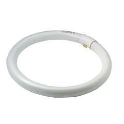 Tube fluorescent Circline T8 32W OSRAM – Éclairage neutre

