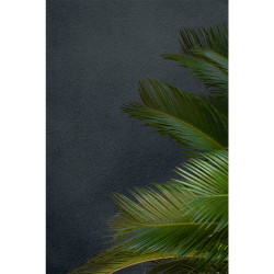 Peinture pour façade Easy Rénovation anthracite mat 2,5 L V33 Peinture pour façade Easy Rénovation anthracite mat 2,5 L V33