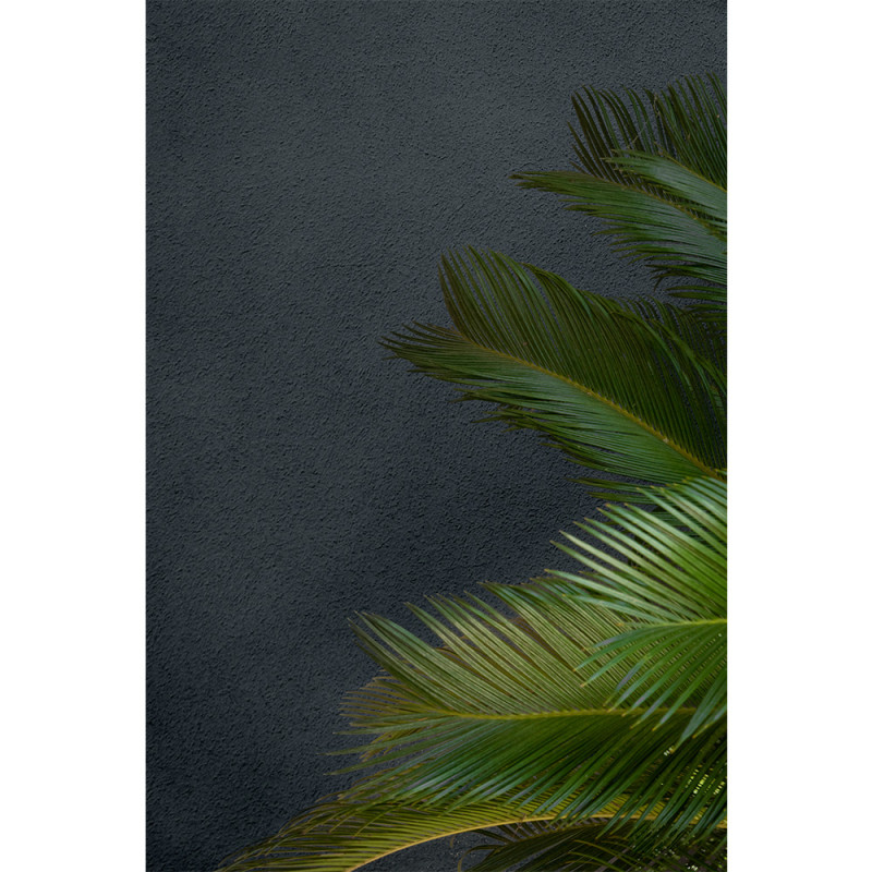 Peinture pour façade Easy Rénovation anthracite mat 2,5 L V33 Peinture pour façade Easy Rénovation anthracite mat 2,5 L V33