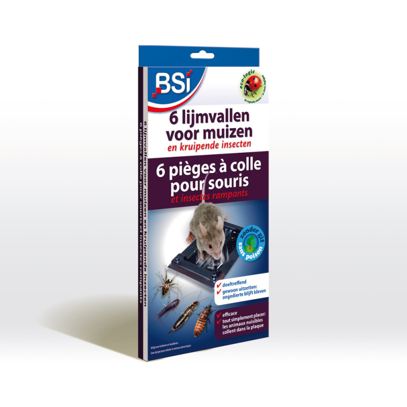 Piège à colle pour souris et autres insectes rampants 6 pièces BSI