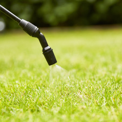 Engrais liquide Progazon 2,5 L COMPO