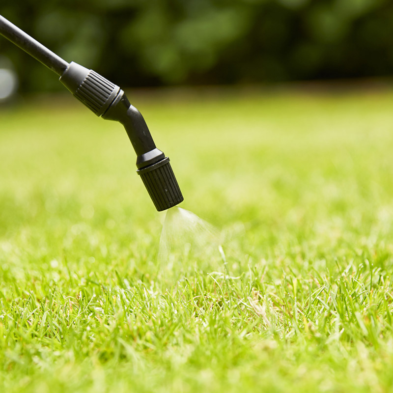 Engrais liquide Progazon 2,5 L COMPO