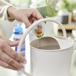 Engrais liquide pour orchidée COMPO