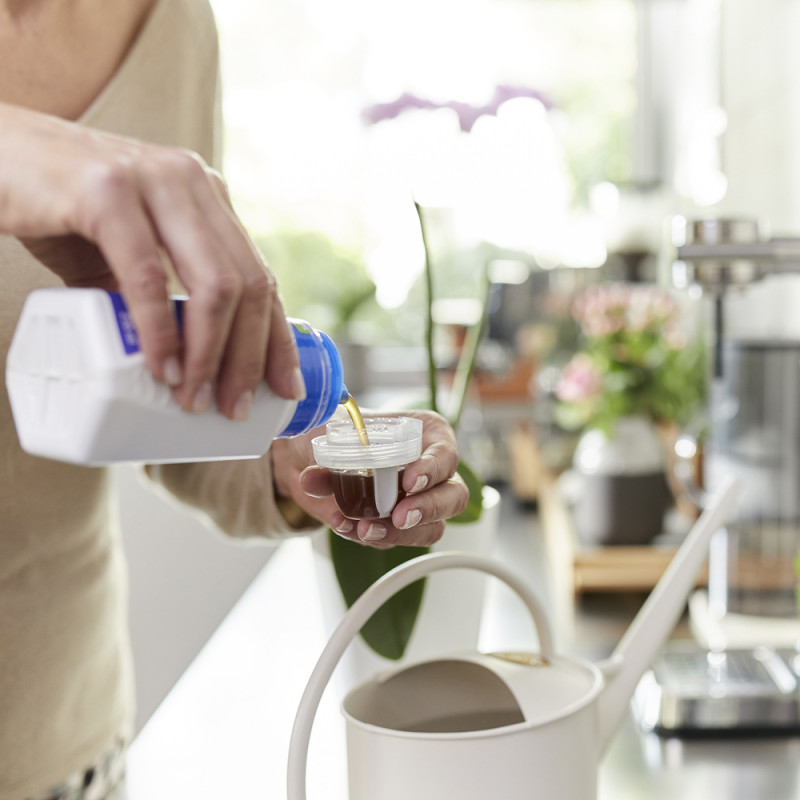 Engrais liquide pour orchidée COMPO