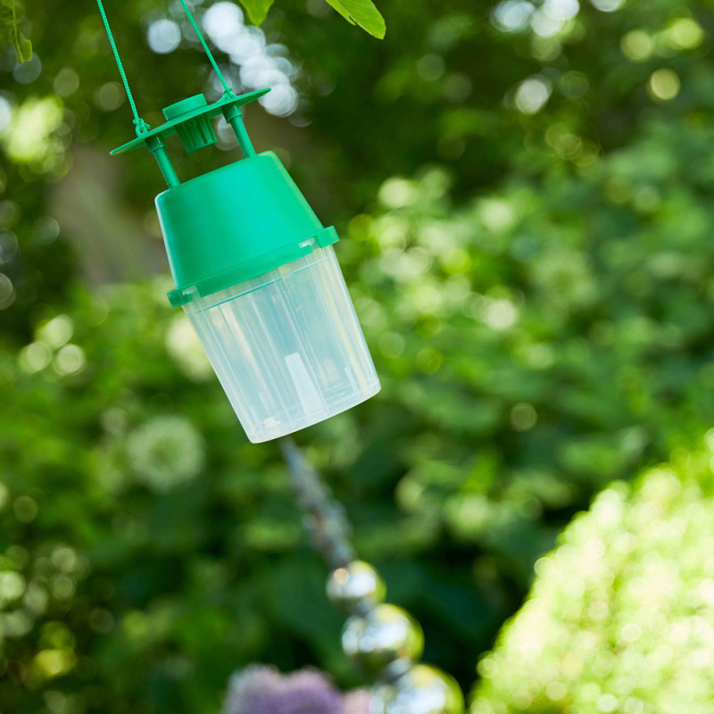 Piège à insectes COMPO – Capture efficace | COMPO

